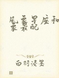 风象星座和哪个象最配