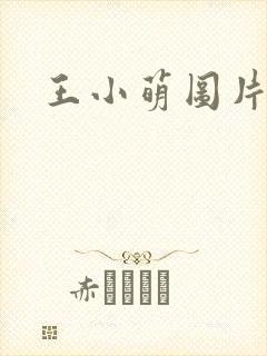 王小萌图片封面