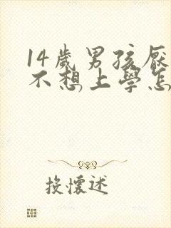 14岁男孩厌学不想上学怎么办