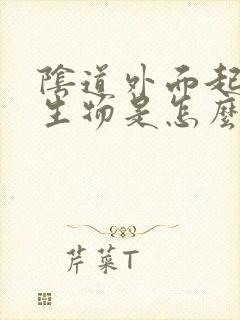 阴道外面起小赘生物是怎么回事