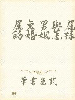 属兔男与属龙女的婚姻怎样封面