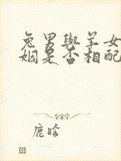 兔男与羊女的婚姻是否相配