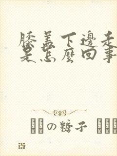 膝盖下边走路疼是怎么回事封面