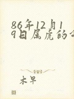 86年12月19日属虎的命运