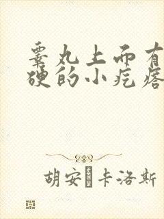 睾丸上面有个硬硬的小疙瘩,而且疼