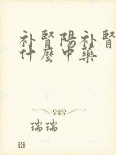 补肾阳补肾阴吃什么中药