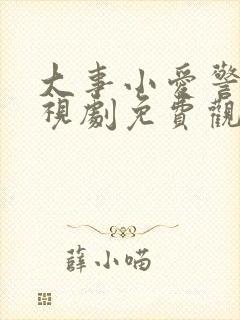 大事小爱警察电视剧免费观看