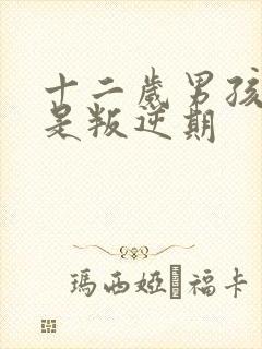 十二岁男孩是不是叛逆期