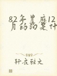 82年农历12月的狗是什么命