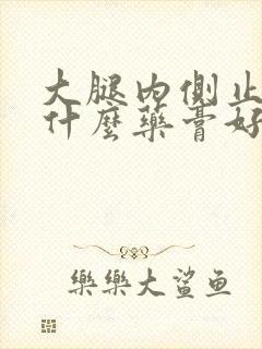 大腿内侧止痒用什么药膏好