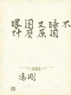 眼困又睡不着是什么原因