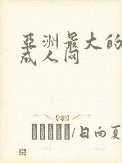 亚洲最大的在线成人网封面