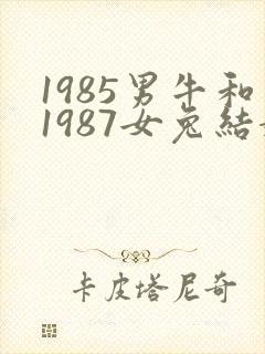 1985男牛和1987女兔结婚好不好封面