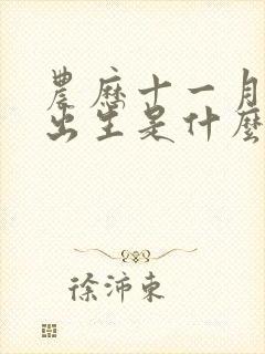 农历十一月初六出生是什么命