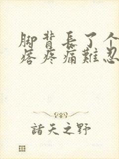 脚背长了个硬疙瘩疼痛难忍