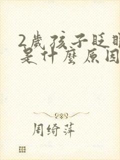 2岁孩子眨眼睛是什么原因