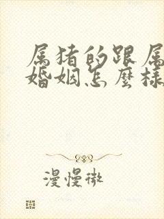 属猪的跟属狗的婚姻怎么样封面