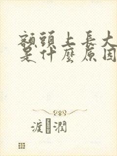 额头上长大痤疮是什么原因