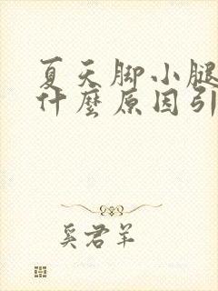 夏天脚小腿痒是什么原因引起的