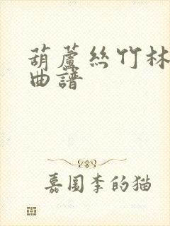 葫芦丝竹林深处曲谱