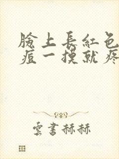 脸上长红色硬痘痘一摸就疼