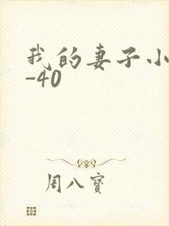 我的妻子小谨1-40封面