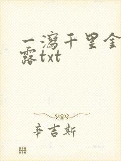 一泻千里金银花露txt