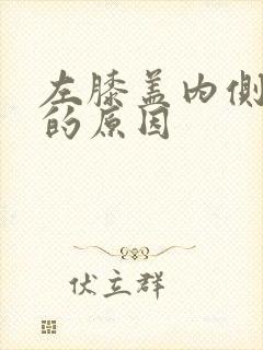 左膝盖内侧疼痛的原因