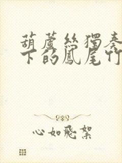 葫芦丝独奏月光下的凤尾竹简谱