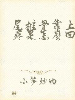 尾椎骨靠上一点疼是怎么回事封面