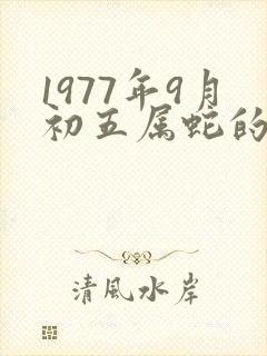 1977年9月初五属蛇的命运如何