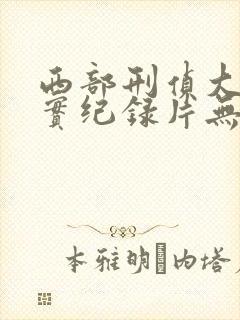 西部刑侦大案纪实纪录片无删减封面