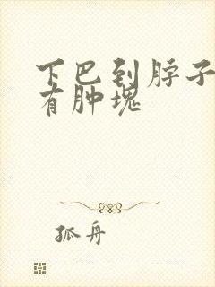 下巴到脖子之间有肿块