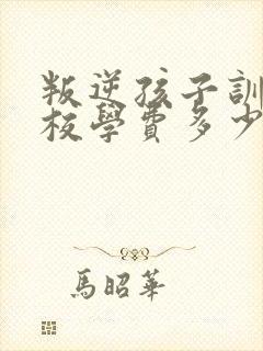 叛逆孩子训练学校学费多少