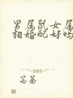 男属鼠女属龙属相婚配好吗