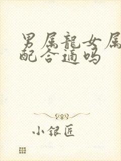 男属龙女属兔婚配合适吗