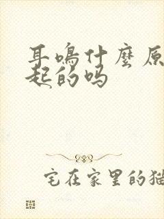 耳鸣什么原因引起的吗