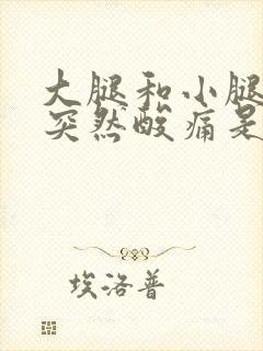 大腿和小腿肌肉突然酸痛是怎么回事啊