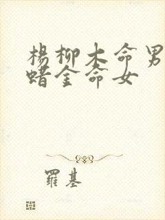 杨柳木命男和白蜡金命女