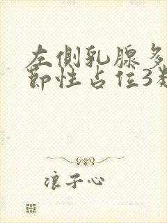 左侧乳腺多发结节性占位3类