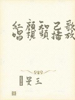 红颜知己歌曲原唱视频播放