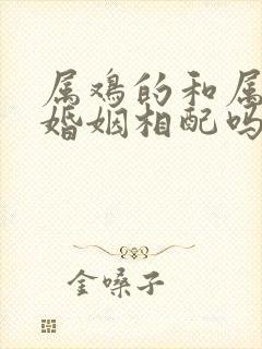 属鸡的和属马的婚姻相配吗