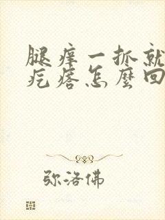 腿痒一抓就起红疙瘩怎么回事