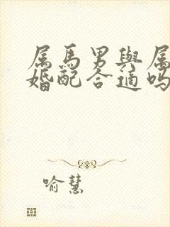 属马男与属马女婚配合适吗