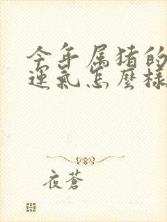 今年属猪的打牌运气怎么样