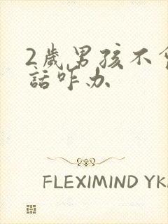 2岁男孩不会说话咋办封面