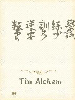 叛逆训练学校学费要多少钱