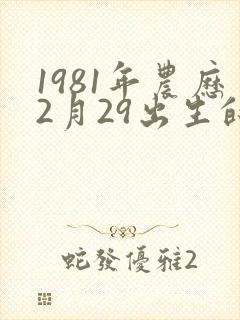 1981年农历2月29出生的命运