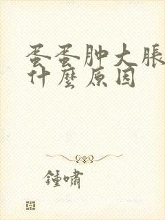 蛋蛋肿大胀痛是什么原因