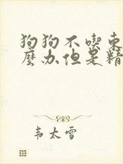 狗狗不吃东西怎么办但是精神很好